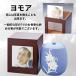 7�� ����P�[�X �����A�P�i  ����7�� ����{ ���V �茳���{ �⍜�ۊ� �Y�� ������� ���_�� ����J�o�[ �֘A�摜1