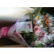 �K�[�x�� 50�{�̉ԑ� ���������u50�`60cm�v�a���� ��̓� �o�[�X�f�[ �v���[���g�@�Y��  ���蕨