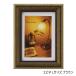  фотография . креветка neL Brown 33R07702002
