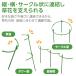 �A�����̉Ԃ����� 20�{�g �g���� �P�� �^���[�^ �����^ �T�[�N���^ ���߉\ �ڗ����ɂ��� �x�� ���| �K�[�f�j���O �������ނ��� �g�ݍ��킹���R �֘A�摜2