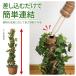 �ϗt�A���̎x�� 2�{�g �Œ�p �R�t�� �R�R���V�@�� �ȒP �A�� �������ނ��� �������� �i�`������ ������� ����� �|�g�X �A�C�r�[ �v�����^�[ �֘A�摜4