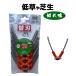 �܂銠�肭�� �ւ��n �ᑐ �Ő� �N���X�^���h���S��Jr �u���V�n ������n �Ŋ���n ���S �Z�[�t�e�B �悭�؂�� ���ϋv �L������ ������
