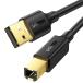 UGREEN принтер кабель USB кабель ab модель принтер электропроводка 2M сканер факс машина копировальный аппарат . соответствует позолоченный коннектор 