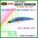 デュエル   ハードコア ヘビーミノー  110ｍｍ  37ｇ  F1190-HIW  05 イワシ  ルアー  ( 定形外発送可 )