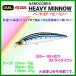 デュエル   ハードコア ヘビーミノー  110ｍｍ  37ｇ  F1190-HSTI  09 ストライクイワシ  ルアー  ( 定形外発送可 )