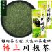 2026 новый чай Special сверху река корень чай 100g×2 пакет Shizuoka чай Shizuoka чай название производство земля серии сырой . река корень чай ... чай внутри река корень чай зеленый чай 