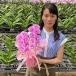 �Ӓ��� BONUS�Ώ�  �~�f�B2�{���� �����疺���S3�F ���j�� ������ �ԃM�t�g �~�f�B ���a���� �J�X�j �J�Əj �V�z�j �֘A�摜3