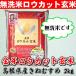 平成29年産　島根県産「金芽ロウカット玄米」きぬむすめ　BG無洗米2kg