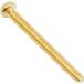 塼 Machine Screw - 3-48 x 1 25.4mm, Phillips, Pan Head, Gold (1) [170ߤ Ʊ]