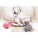  редкий Sony SONY Aibo ERS-1000 чёрный кунжут выпуск ограниченная модель 