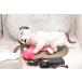  очень хороший Sony Aibo ERS-1000 Aibo -n мяч AIBO собака type SONY
