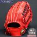 �싅 IP�Z���N�g �d���O���[�u 2026FW LIMITED EDITION �O�� Ip Select �O���u �O���[�u �E���� (017-LM26FW2)