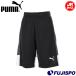 [ специальная цена ] Puma INDIVILIGA TR шорты JR PUMA футбол футзал p Ractis брюки игра брюки тренировка одежда Junior Kids ребенок (660974-03)