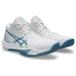  Asics asics мужской волейбол обувь Sky Elite FF MT 3 SKY ELITE FF MT 3 1051A081 106 цвет отталкивание . подушка белый . покупка 
