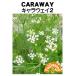  трава tane вид Cara way 2 глициния рисовое поле семена 