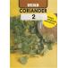 [ глициния рисовое поле семена ] кориандр 2 CORIANDER трава вид 