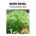  трава tane вид втулка базилик pico BUSH BASIL глициния рисовое поле семена 