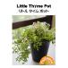  трава tane вид little время pot глициния рисовое поле семена 