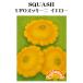  овощи tane вид UFO кабачок желтый глициния рисовое поле семена 