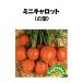  овощи tane вид Mini Carrot ( круглый ) глициния рисовое поле семена 