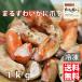 ma...... nail under ring cut 800g( gross weight 1kg)[ free shipping Okinawa prefecture excepting remote island ]
