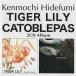 TIGER LILY CATOBLEPAS 2CD прокат б/у CD