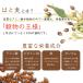 �n�g���M�� �n�g���M �͂Ɣ��� ���Y 6g �~ 20�� 120g �n�g���M �e�B�[�o�b�O �͂Ƃނ� �|�C���g���� �m���J�t�F�C�� �֘A�摜1