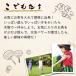 �\�Z�݂̂蒃 �u�����h�� �u�����h�e�B�[ ���Y �m���J�t�F�C�� �� ���N�� �������� �e�B�[�o�b�O 100�� �ӂ����� ���� �唞 �͂Ɣ� �֘A�摜4