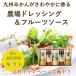 お中元 ギフト 調味料 ドレッシング フルーツソース セット 甘夏 シーザー ゆず デコポン