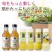 ギフト ドレッシング 九州 ポン酢 セット 甘夏 シーザー ゆず フルーツポン酢