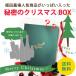 クリスマス パーティー 福袋 送料無料 秘密のクリスマスボックス