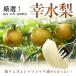 [. вода груша ] примерно 3kg размер указание нет Fukui * Ishikawa * Nagano префектура производство груша 