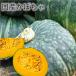  местного производства тыква [5-7 шар 1 кейс коробка ] местного производства юг . север. большой земля из юг до ... тыква каштан тыква запад тыква ....