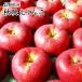  Nagano производство [ осень ..] яблоко превосходящий товар 2kg яблоко фрукты подарок фрукты комплект ......