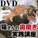 DVD кошка san. чистка зубов практика курс 