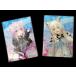OPP�� �g���J�p �J�[�h �X���[�u �e�[�v�Ȃ� 100�� 65x90mm S6.5-9�i�g���J�p���M�����[�j �֘A�摜2