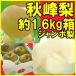  осень ...... груша примерно 1.6kg (3~4 шар входить ) большой шар . сырой Fukushima префектура . место производство ... производство отправка период :12 месяц сверху . примерно ~1 месяц последняя декада примерно до предположительно 