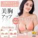 �k�[�h�u�� �V���R���u�� �u�� �J�ԃ��C�N �X�g���b�v���X �o�X�g�A�b�v ����� �h�� �����p �ėp