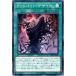 ͷ 10 DBDS-JP008 ѥǥڥѥ
