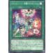 ͷ���� ��13��/03��/BPRO-JP057 ����ե���Ρ��ġ���Υƥ�����åȡ�