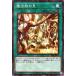 ͷ 11 SSB1-JP036 ˡ²ΤڥΡޥѥ