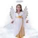 �n���E�B�� �G���W�F�� �q���ߑ� �V�g�̈ߑ� ���P�l �����s�[�X ���t�� �d�� �R�X�`���[�� ���V�g �R�X�v���ߑ� �p�[�e�B�[ �n���E�B���ߑ�