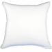 �N�b�V���� ���� �y�p�^ 60cm�~60cm�p�z��