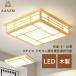 AAAZM �V�[�����O���C�g LED�d�� 4~16�� �a�� �ؐ� ������� �V��Ɩ���� �ؖڒ� �l�p�` �����R�����������I�� �x�b�h���[�� �����a�� ���r���O ���֘L�� �Q��