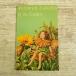  иллюстрированная книга на иностранном языке [sisi Lee * Mary -* Barker FLOWER FAIRIES of the Garden( маленький размер размер )] двор. .. иностранная книга поэзия сборник Blacky фирма античный книга с картинками 