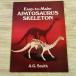  бумага construction [ легко произведение ..!apatosaurus все тело .. бумажное моделирование Easy-to-Make Apatosaurus Skeleton] DOVER A.G.Smithb long tosaurus