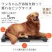 FUNKS ��^���p �̏d�v �f�W�^���̏d�v �y�b�g�p�̏d�v �ő�150kg �y�b�g�X�P�[�� �f�W�^���X�P�[�� �֘A�摜2