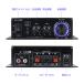 �R���p�N�g�I�[�f�B�I�A���v 40W+40W ����/�ቹ���� AUX/RCA���� ���^2ch�p���[�A���v  Hi-Fi�X�e���I�A���v DC12V/2A ���y�ӏܗp/�Ԃ�o�C�N�� LPAK280 �֘A�摜3