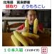 . good . production corn 10 pcs insertion box [ Hokkaido agriculture house direct delivery ]
