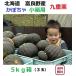 . good . production pumpkin 9 -ply chestnut 5kg box (3 sphere entering )[ have machine cultivation ]